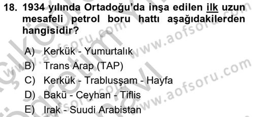 Modern Ortadoğu Tarihi Dersi 2018 - 2019 Yılı Yaz Okulu Sınav Soruları 18. Soru