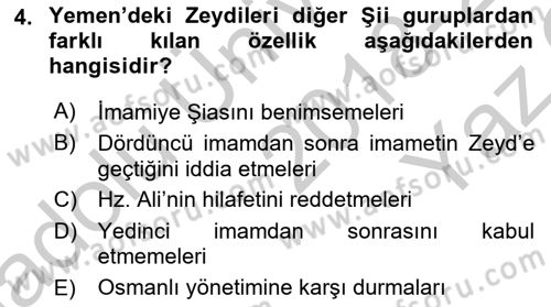Modern Ortadoğu Tarihi Dersi 2018 - 2019 Yılı Yaz Okulu Sınav Soruları 4. Soru
