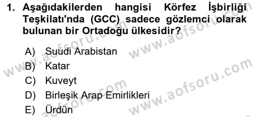 Modern Ortadoğu Tarihi Dersi 2020 - 2021 Yılı Yaz Okulu Sınav Soruları 1. Soru