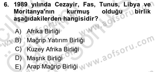 Modern Ortadoğu Tarihi Dersi 2021 - 2022 Yılı (Final) Dönem Sonu Sınav Soruları 6. Soru