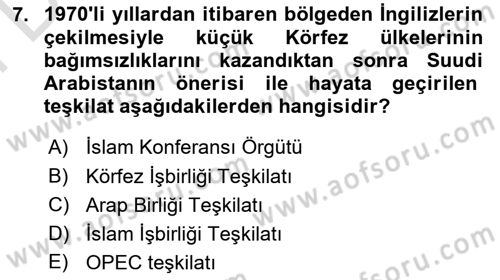 Modern Ortadoğu Tarihi Dersi 2021 - 2022 Yılı (Final) Dönem Sonu Sınav Soruları 7. Soru