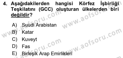 Modern Ortadoğu Tarihi Dersi 2023 - 2024 Yılı (Vize) Ara Sınav Soruları 4. Soru