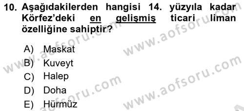 Modern Ortadoğu Tarihi Dersi 2023 - 2024 Yılı (Final) Dönem Sonu Sınav Soruları 10. Soru