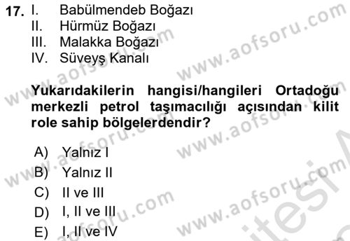 Modern Ortadoğu Tarihi Dersi 2023 - 2024 Yılı (Final) Dönem Sonu Sınav Soruları 17. Soru