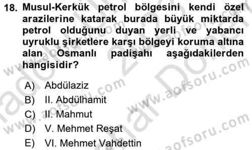 Modern Ortadoğu Tarihi Dersi 2023 - 2024 Yılı (Final) Dönem Sonu Sınav Soruları 18. Soru