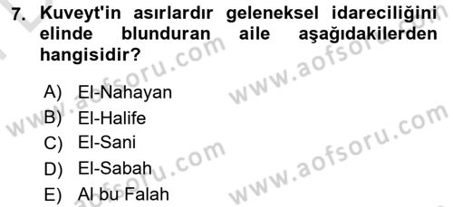 Modern Ortadoğu Tarihi Dersi 2023 - 2024 Yılı (Final) Dönem Sonu Sınav Soruları 7. Soru