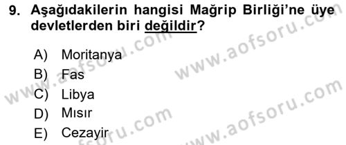 Modern Ortadoğu Tarihi Dersi 2023 - 2024 Yılı (Final) Dönem Sonu Sınav Soruları 9. Soru