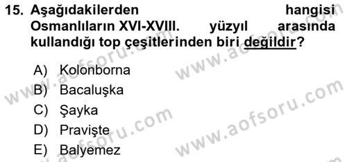Türk Askeri Teşkilat Tarihi Dersi 2024 - 2025 Yılı (Vize) Ara Sınav Soruları 15. Soru