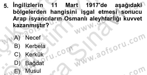 Birinci Dünya Savaşı’nda Türk Cepheleri Dersi 2021 - 2022 Yılı (Vize) Ara Sınav Soruları 5. Soru