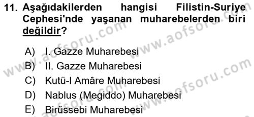 Birinci Dünya Savaşı’nda Türk Cepheleri Dersi 2021 - 2022 Yılı Yaz Okulu Sınav Soruları 11. Soru