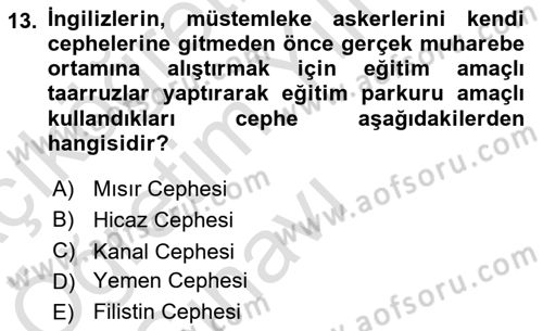 Birinci Dünya Savaşı’nda Türk Cepheleri Dersi 2021 - 2022 Yılı Yaz Okulu Sınav Soruları 13. Soru