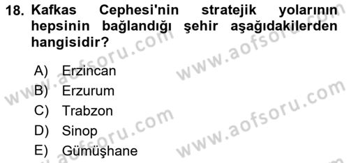 Birinci Dünya Savaşı’nda Türk Cepheleri Dersi 2021 - 2022 Yılı Yaz Okulu Sınav Soruları 18. Soru