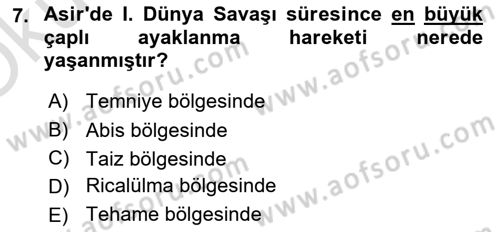 Birinci Dünya Savaşı’nda Türk Cepheleri Dersi 2021 - 2022 Yılı Yaz Okulu Sınav Soruları 7. Soru