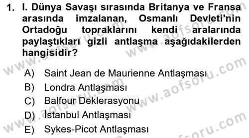 Birinci Dünya Savaşı’nda Türk Cepheleri Dersi 2022 - 2023 Yılı Yaz Okulu Sınav Soruları 1. Soru