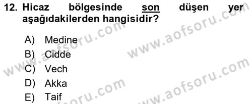 Birinci Dünya Savaşı’nda Türk Cepheleri Dersi 2022 - 2023 Yılı Yaz Okulu Sınav Soruları 12. Soru