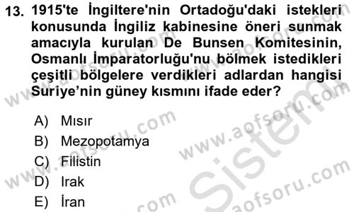 Birinci Dünya Savaşı’nda Türk Cepheleri Dersi 2022 - 2023 Yılı Yaz Okulu Sınav Soruları 13. Soru