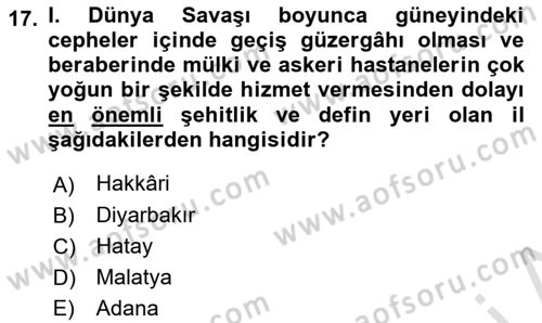 Birinci Dünya Savaşı’nda Türk Cepheleri Dersi 2022 - 2023 Yılı Yaz Okulu Sınav Soruları 17. Soru