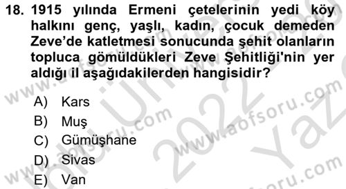 Birinci Dünya Savaşı’nda Türk Cepheleri Dersi 2022 - 2023 Yılı Yaz Okulu Sınav Soruları 18. Soru