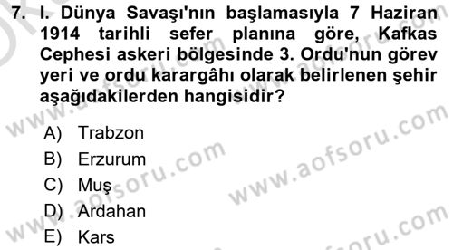 Birinci Dünya Savaşı’nda Türk Cepheleri Dersi 2022 - 2023 Yılı Yaz Okulu Sınav Soruları 7. Soru
