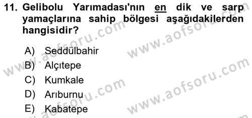 Birinci Dünya Savaşı’nda Türk Cepheleri Dersi 2023 - 2024 Yılı (Vize) Ara Sınavı 11. Soru