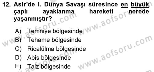 Birinci Dünya Savaşı’nda Türk Cepheleri Dersi 2023 - 2024 Yılı (Final) Dönem Sonu Sınav Soruları 12. Soru