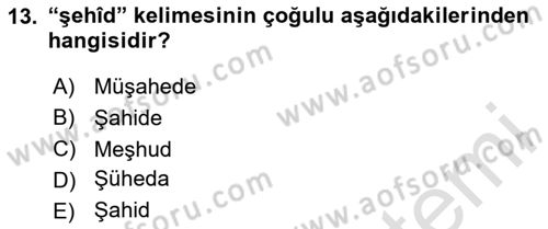 Birinci Dünya Savaşı’nda Türk Cepheleri Dersi 2023 - 2024 Yılı (Final) Dönem Sonu Sınav Soruları 13. Soru
