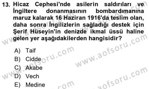 Birinci Dünya Savaşı’nda Türk Cepheleri Dersi 2023 - 2024 Yılı Yaz Okulu Sınav Soruları 13. Soru