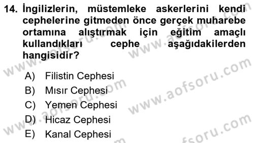 Birinci Dünya Savaşı’nda Türk Cepheleri Dersi 2023 - 2024 Yılı Yaz Okulu Sınav Soruları 14. Soru