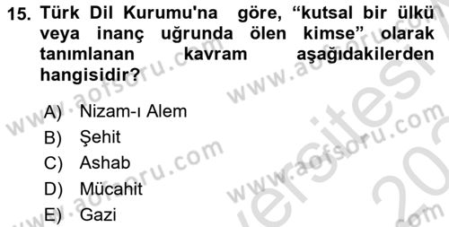 Birinci Dünya Savaşı’nda Türk Cepheleri Dersi 2023 - 2024 Yılı Yaz Okulu Sınav Soruları 15. Soru