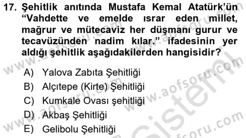 Birinci Dünya Savaşı’nda Türk Cepheleri Dersi 2023 - 2024 Yılı Yaz Okulu Sınav Soruları 17. Soru