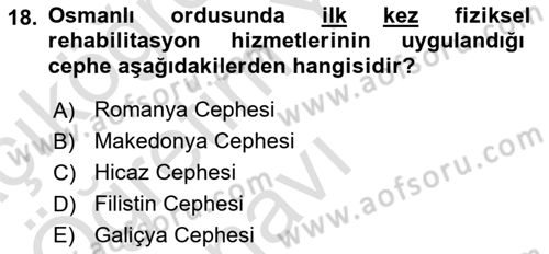 Birinci Dünya Savaşı’nda Türk Cepheleri Dersi 2023 - 2024 Yılı Yaz Okulu Sınav Soruları 18. Soru