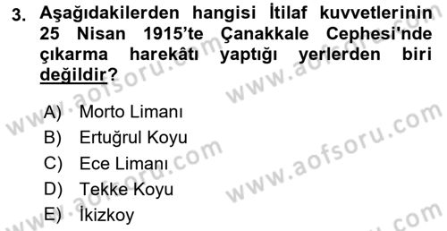 Birinci Dünya Savaşı’nda Türk Cepheleri Dersi 2023 - 2024 Yılı Yaz Okulu Sınav Soruları 3. Soru