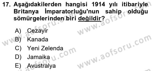 Birinci Dünya Savaşı’nda Türk Cepheleri Dersi 2024 - 2025 Yılı (Vize) Ara Sınav Soruları 17. Soru