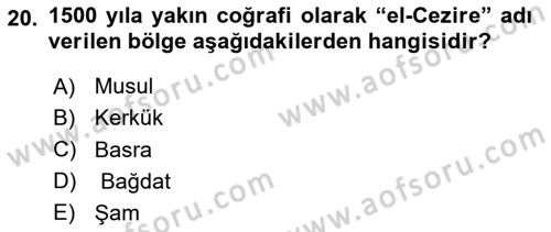 Birinci Dünya Savaşı’nda Türk Cepheleri Dersi 2024 - 2025 Yılı (Vize) Ara Sınav Soruları 20. Soru