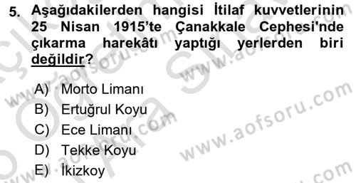Birinci Dünya Savaşı’nda Türk Cepheleri Dersi 2024 - 2025 Yılı (Vize) Ara Sınav Soruları 5. Soru