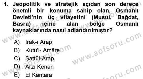 Birinci Dünya Savaşı’nda Türk Cepheleri Dersi 2024 - 2025 Yılı (Final) Dönem Sonu Sınav Soruları 1. Soru