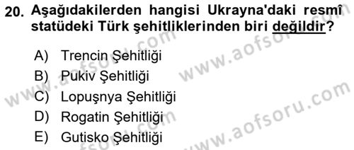 Birinci Dünya Savaşı’nda Türk Cepheleri Dersi 2024 - 2025 Yılı (Final) Dönem Sonu Sınav Soruları 20. Soru