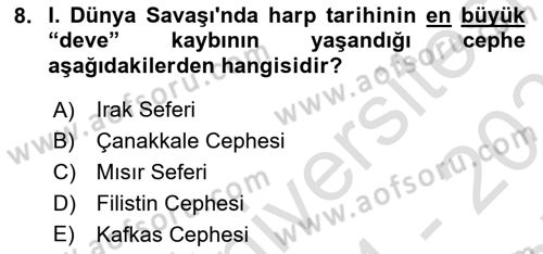 Birinci Dünya Savaşı’nda Türk Cepheleri Dersi 2024 - 2025 Yılı (Final) Dönem Sonu Sınav Soruları 8. Soru