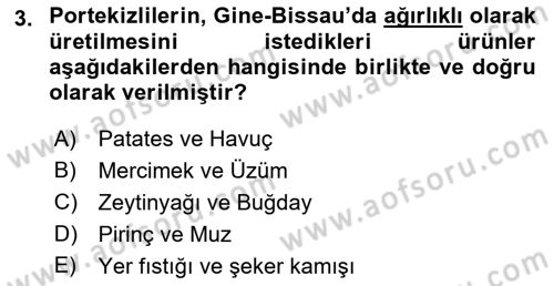 Sömürgecilik Tarihi (Avrupa-Amerika) Dersi Ara Sınavı Deneme Sınav Soruları 3. Soru