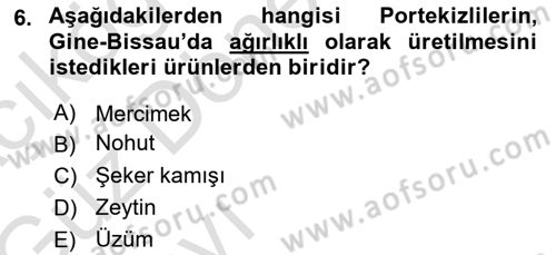 Sömürgecilik Tarihi (Avrupa-Amerika) Dersi 2019 - 2020 Yılı (Vize) Ara Sınav Soruları 6. Soru