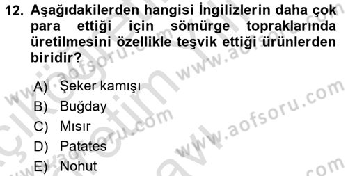 Sömürgecilik Tarihi (Avrupa-Amerika) Dersi 2020 - 2021 Yılı Yaz Okulu Sınav Soruları 12. Soru