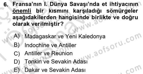 Sömürgecilik Tarihi (Avrupa-Amerika) Dersi 2020 - 2021 Yılı Yaz Okulu Sınav Soruları 6. Soru