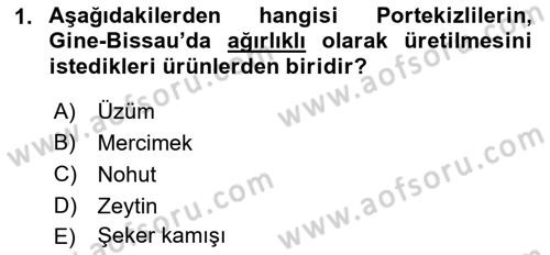 Sömürgecilik Tarihi (Avrupa-Amerika) Dersi 2021 - 2022 Yılı Yaz Okulu Sınav Soruları 1. Soru