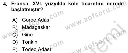 Sömürgecilik Tarihi (Avrupa-Amerika) Dersi 2022 - 2023 Yılı Yaz Okulu Sınav Soruları 4. Soru