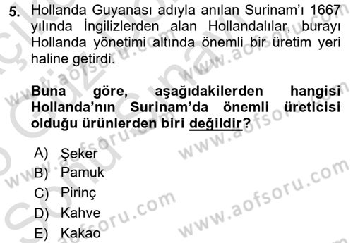 Sömürgecilik Tarihi (Avrupa-Amerika) Dersi 2024 - 2025 Yılı (Final) Dönem Sonu Sınav Soruları 5. Soru
