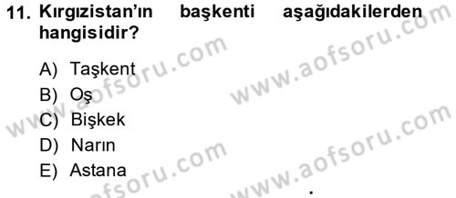 Çağdaş Türk Dünyası Dersi 2014 - 2015 Yılı Tek Ders Sınav Soruları 11. Soru