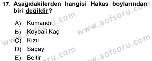 Çağdaş Türk Dünyası Dersi 2015 - 2016 Yılı Tek Ders Sınav Soruları 17. Soru