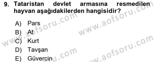 Çağdaş Türk Dünyası Dersi 2016 - 2017 Yılı 3 Ders Sınav Soruları 9. Soru