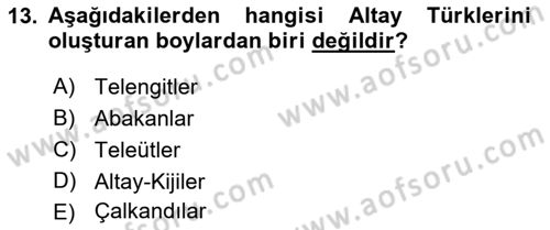 Çağdaş Türk Dünyası Dersi 2018 - 2019 Yılı (Final) Dönem Sonu Sınav Soruları 13. Soru