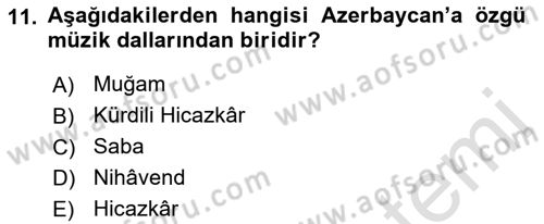 Çağdaş Türk Dünyası Dersi Ara Sınavı Deneme Sınav Soruları 11. Soru